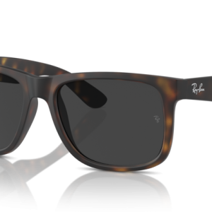 RAY BAN 4165 865/87 55